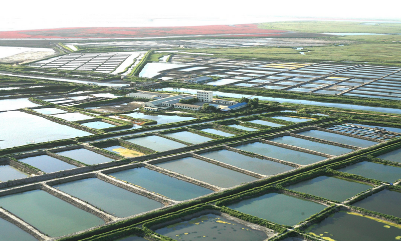 Aquaculture.png